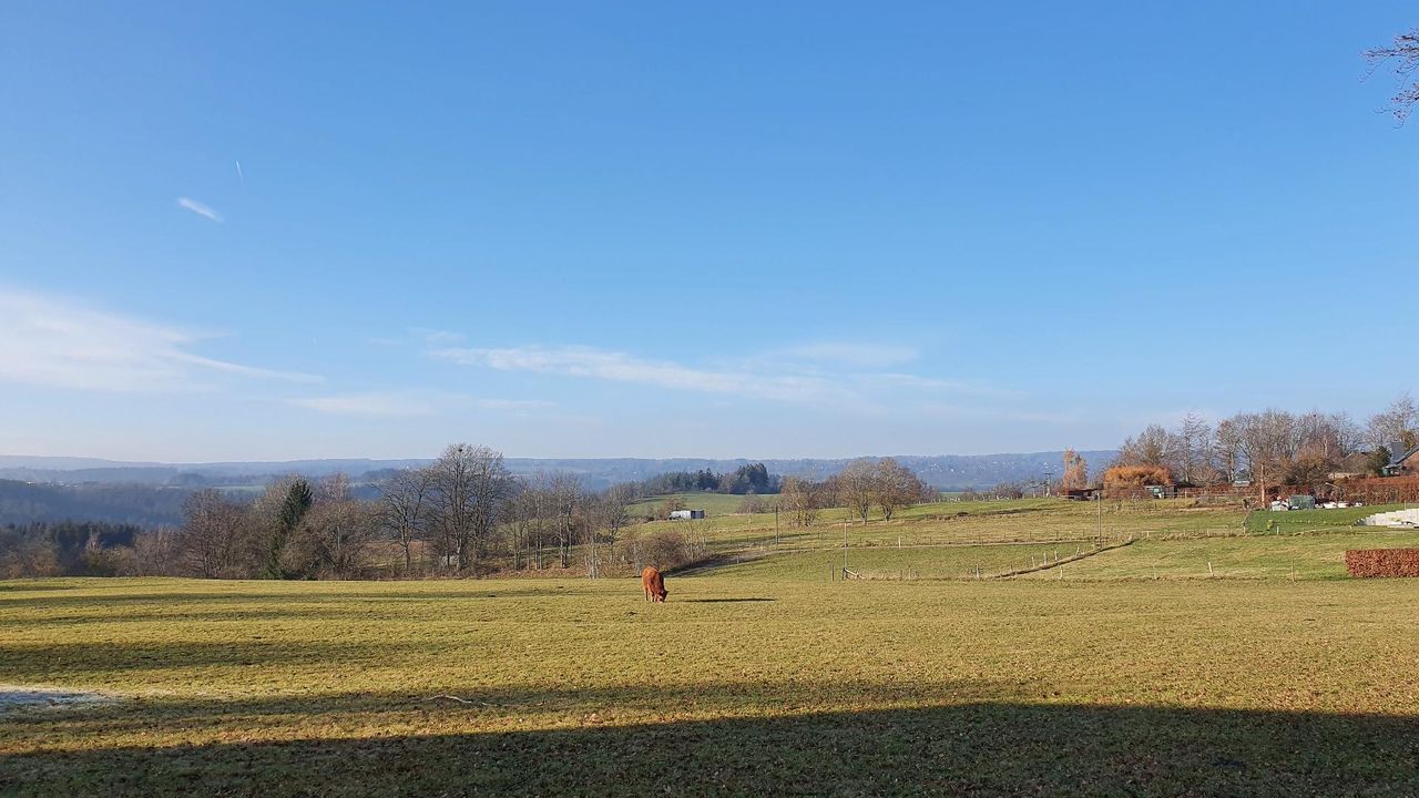 Direkte Umgebung des Objekts Direkte Umgebung des Objekts